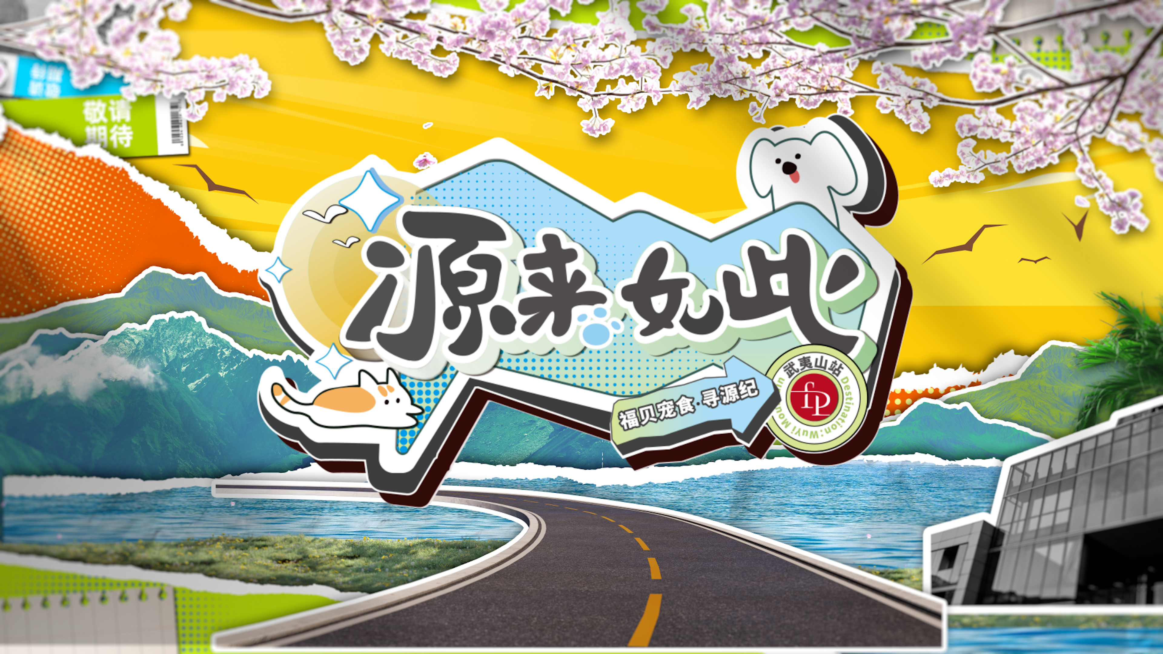 打破常規(guī)，用生動的方式傳遞價值——福貝寵食《尋源紀(jì)》微綜藝正式上線